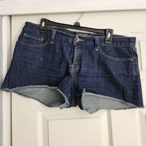 Lucky Brand Riley Short Size 12/31
